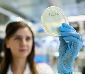 petri dish Woman wearing blue disposable gloves and holding a Petri dish